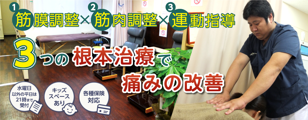 骨盤矯正・筋肉調整・運動指導、3つの根本治療で姿勢改善
